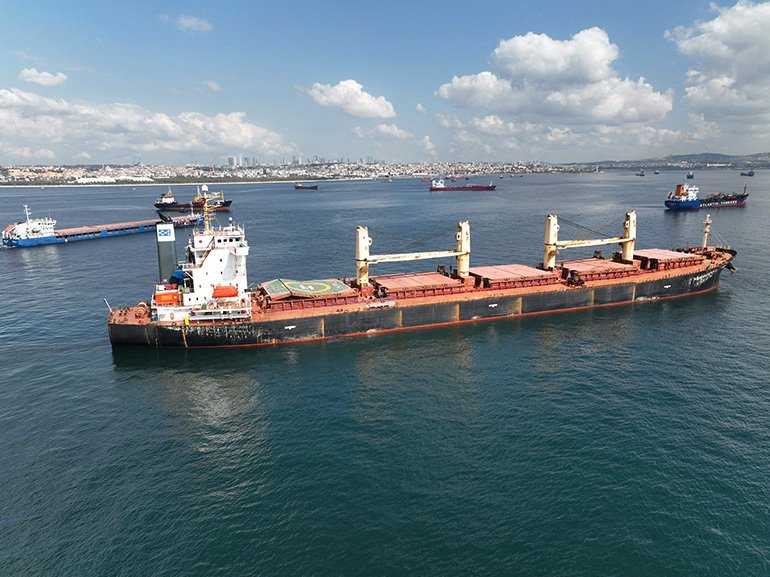 Ship Agency Claims